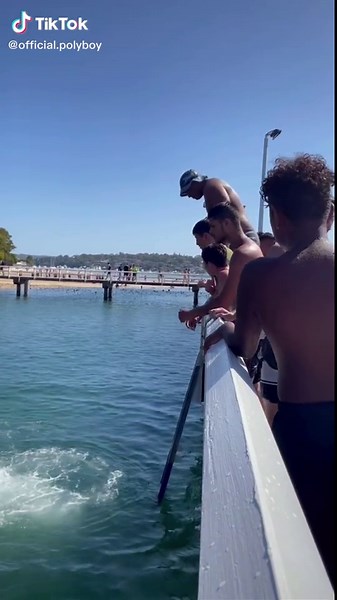 Wait to watch the back slaps / fails at the end #fyp #manu