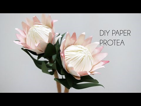DIY Paper Protea (How to make paper flower with Cricut + Silhouette)
