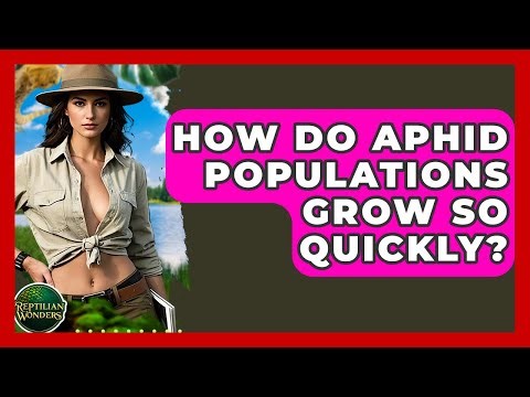 How Do Aphid Populations Grow So Quickly? - Reptilian Wonders