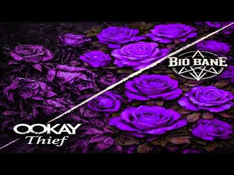 Ookay - Thief (Bio Bane Remix)