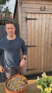 89K views · 3.9K reactions | It’s January, and those spring bulbs are...