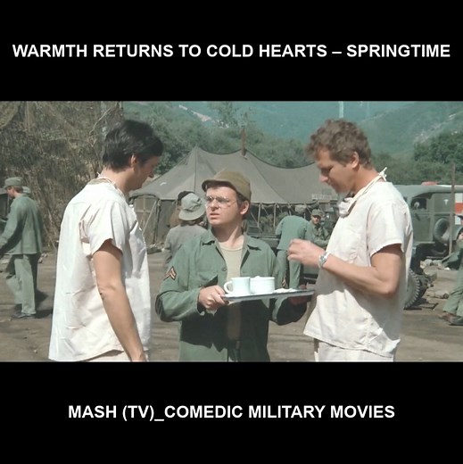 Warmth returns to cold hearts – Springtime - Mash (TV)_Comedic military movies #war #mash #comedy #army | Mash 4077 Fanss