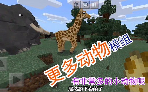 我的世界手机版更多动物模组介绍，有非常多的小动物呢
