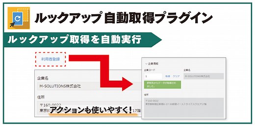ルックアップ自動取得プラグイン - ルックアップ情報取得時の一手間を解消