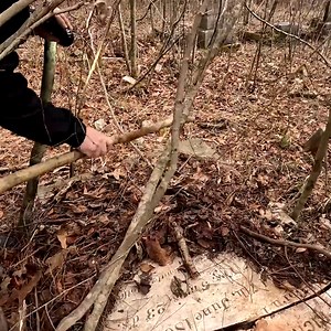 A Family’s Story Resurfaces... #history #exploration #familystory | Adventures Into History