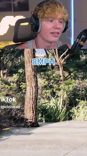 Car Crashes Into Tree At 300Mph! 😱 #munsonreacts #munson #fypシ | car crash