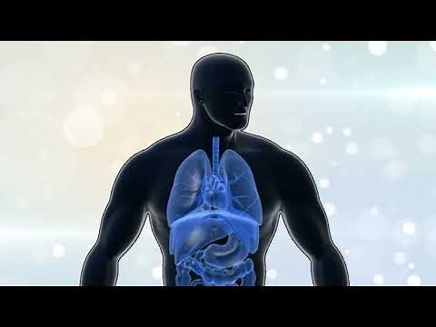 Common Oral Diabetes Medications and How They Work