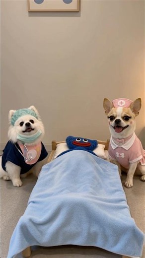 Nico rescues huggy wuggy🥺🥹🥰 #smartnico #funny #pets #cute #huggywuggy