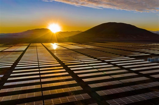 They thought they were just producing energy… but the solar panels awakened the desert - Futura-Sciences