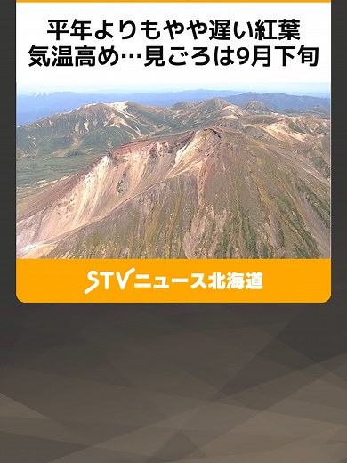平年よりもやや遅い紅葉 気温高め…見ごろは9月下旬 大雪山系・旭岳の空撮映像！北海道 #連休 #大雪山系 #旭岳 #高山植物#ナナカマド #チングルマ #紅葉 #北海道 #STV #TikTokでニュース