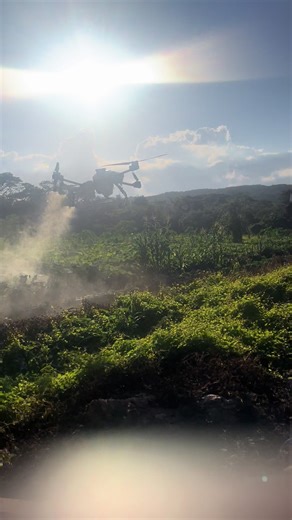 Effective Pest Management with Agriculture Drones