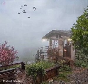 46K views · 664 reactions | Rainy mood   Christmas & Nature Lovers | Tiny House | Facebook