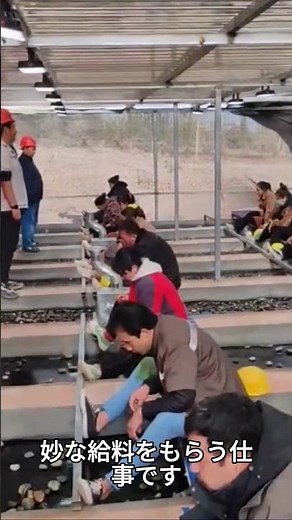 The secret behind pandas' survival after falling from trees