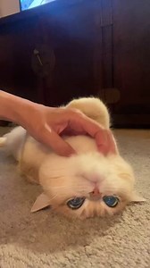 Molly on Reels | Facebook