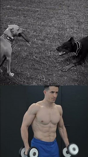 Don't bark if you can't bite ! 🙏