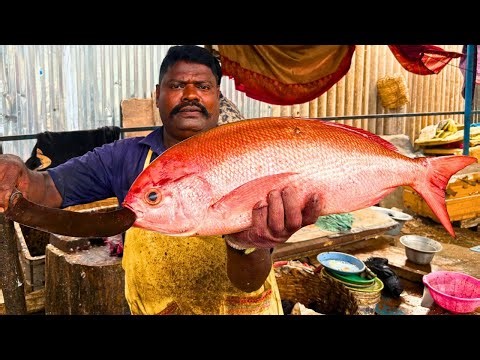 KASIMEDU SPEED SELVAM RED SNAPPER FISH CUTTING VIDEO CUTTING FOCUS