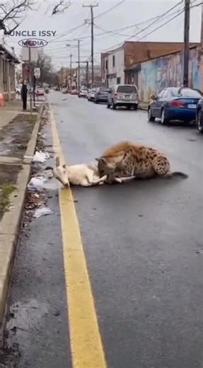 bravery isn't just about size