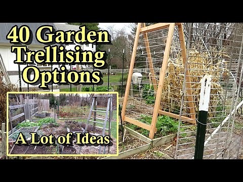 40 Garden Trellising Examples for Growing Vegetables Vertically: All DIY Budget Friendly Options