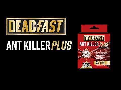 How to use the Deadfast Ant Killer Plus Bait Station