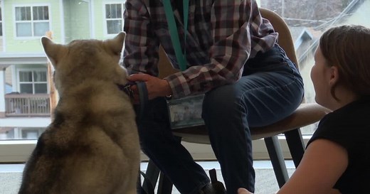 Read with Dogs at the Missoula Public Library