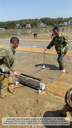 Innovative Rice Seeding Machine: Efficiency at its Best!