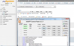 Visual Basic with Xampp (การเชื่อมต่อ Server)
