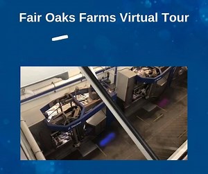 2K views · 16 reactions | Here's a sneak peek of tomorrow's tour at Fair Oaks Farms! Don't miss the opportunity to tour a robotic facility unlike any other. Tour with us! Sign up today: https://delaval-robotics-vt-fairoaksfarms.bitrix24.site/ | DeLaval | Facebook