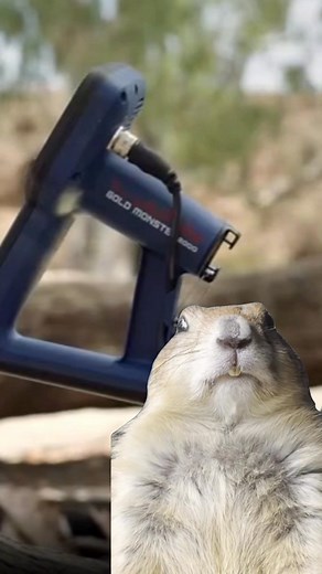 The incredible new Minelab Gold Monster 2000 is available in store now! #metaldetecting #GoldMonster2000 #minelab | Detect A Den