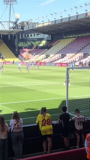 Hansa Rostock vs Watford — live match info & highlights