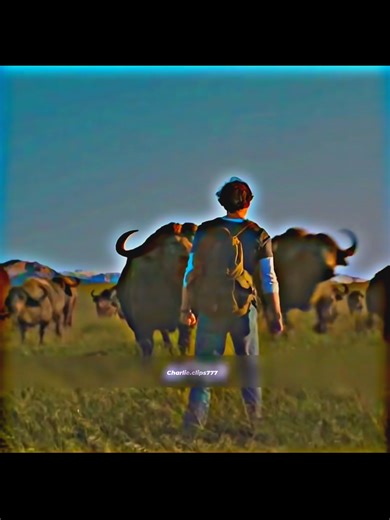 part.1😱🤯 #hollywoodmoviereview #movieexplanation #hindimovieexplanations #quickmoviereview #movieshorts