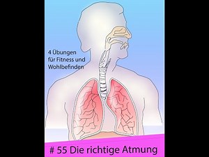 Die richtige Atmung, 4 Übungen für Deine Gesundheit!