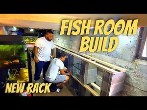 DIY FISH ROOM BUILD | PART #1