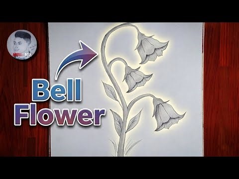 How to Draw a Bell Flower – Easy Step by Step Pencil Sketch