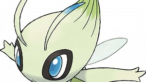 Please enter your date of birth to view this video