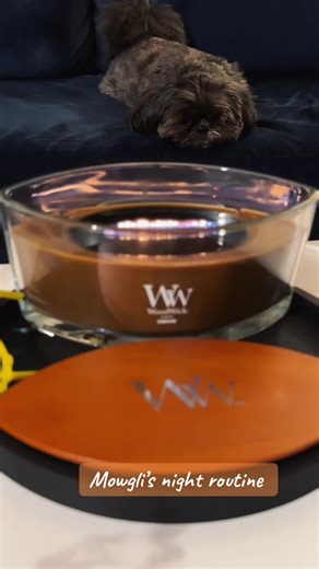 Night routine. Camping videos and @WoodWick humidor candle’s soothing scent and sound. #woodwickcandle #nightroutine #soothing #sleepy #favorite