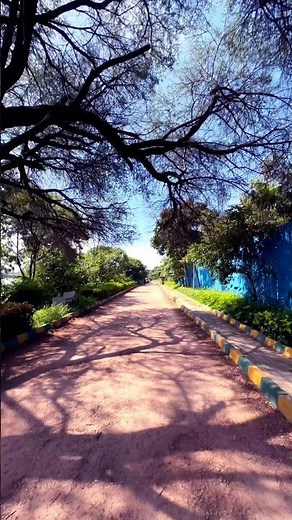 Bengaluru’s Ancient Agara Lake Park Walking Tour | HSR Layout People Hub #hsr #bangalore #parks