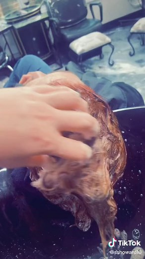 How to Apply Olaplex 1 and 2 Treatment at the Salon