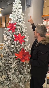 محل أدوات منزلية وكهربائية وأثاث ومرايا وديكورات وزينة الكريسميس للمفرق والجملة بأفضل الماركات العالمية وطبعاً بأعلى كواليتي بالسوق اللبناني Bigdeals home retail store for Christmas decoration ideas and trees collection, widest collection and variety to match your choice always. Christmas tree decoration ideas, balls,ornaments,lights,runner and cushions. Bigdeals home is your best choice, quality and prices for home decorations,appliances, kitchenware and all home hacks and trends. #christmas #c