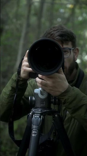 Stability and precision on field with Gitzo Systematic and Ball Head Series 4