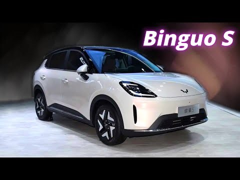 2025 Wuling Binguo S | Budget EV with Premium Looks