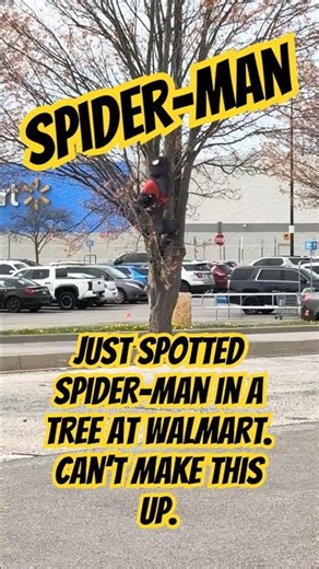 Spider-Man in a tree at Walmart. Just can’t make this up.