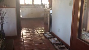 5.1K views · 880 reactions | ENJOYING THE SIMPLE THINGS IN LIFE Try...