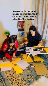 2.3K views · 1.3K reactions | Pleading for mercypleading for the...