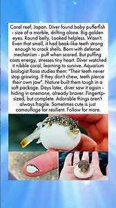 Fits on a Fingertip, Built to Survive