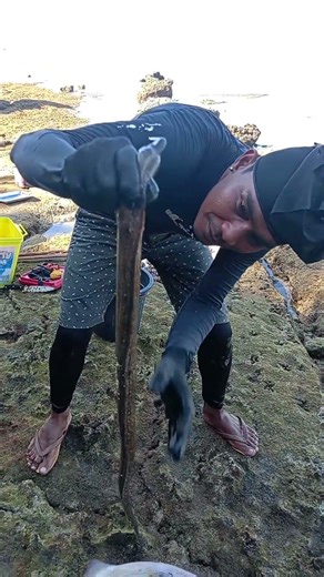 Fresh caught squid eaten raw on the beach #seafood #mukbang