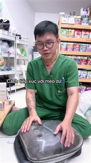 Cách tiếp xúc với mèo dữ một cách an toàn