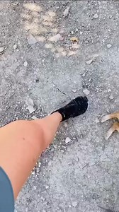 ¿Buscas comodidad, estilo y versatilidad en un solo par de zapatillas? Las @saguaroshoes_es son ultraligeras, flexibles y transpirables. Perfectas para caminar, entrenar, ir a la playa o simplemente para el día a día. ¡Se adaptan a todo y combinan con todo! Desde que las tengo, no me las quiero quitar 💚 | Saguaro Es