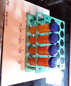 Dragondroff Reagent Detection of Alkaloids by Serial Dilution.
