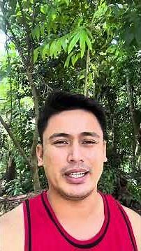 Lilipat ng Broker ang Gold Scalper AI #trading