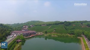 4.2K views · 176 reactions | China has undergone tremendous transformation over the past decades. Click to find out what some of China's national lawmakers have to say about the changes in the country. | China Xinhua News | Facebook